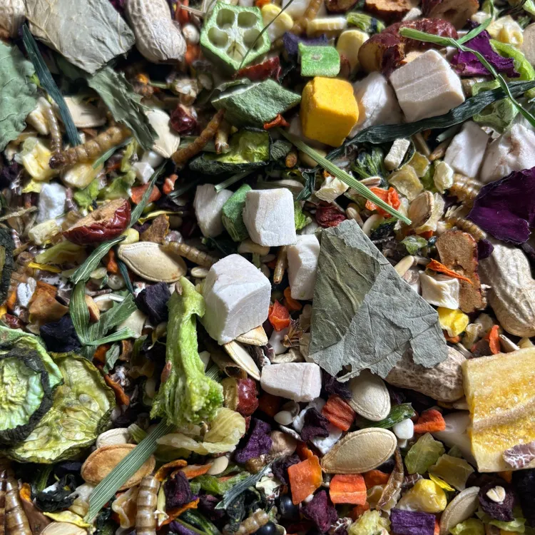 金丝熊波利仓鼠全价自配营养长肉美毛鼠粮花草冻干自配粮