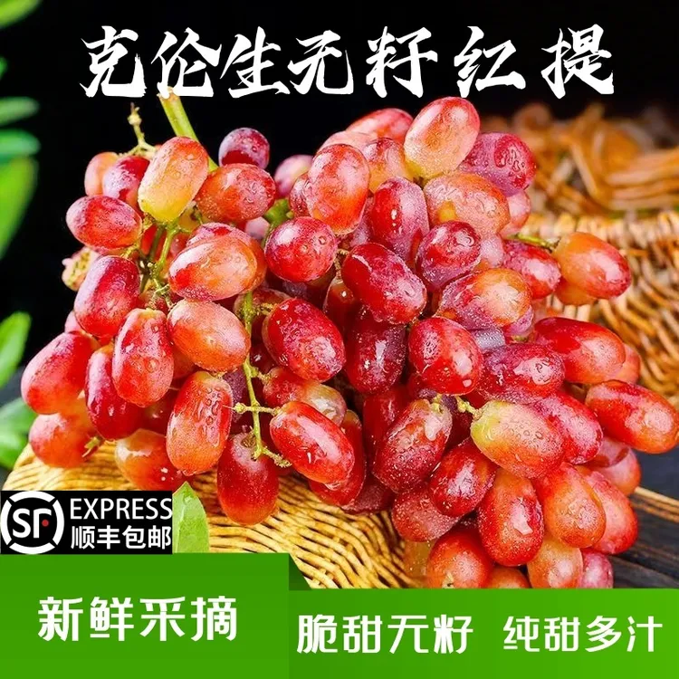 【鲜头茬】大凉山克伦生无籽红提冰美人葡萄水果香甜多汁现摘先发