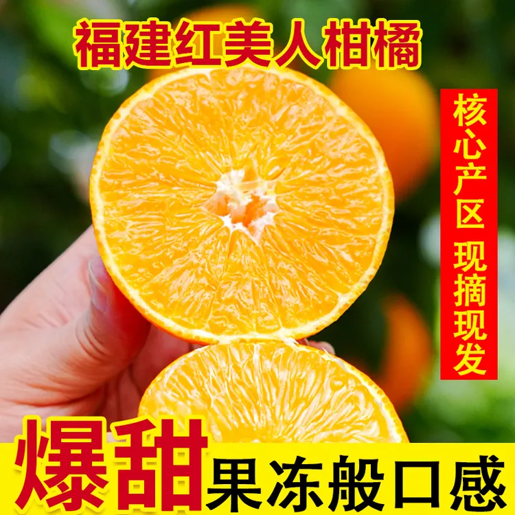 果冻橙红美人爱媛28号新鲜水果橙子头茬无籽当季水果