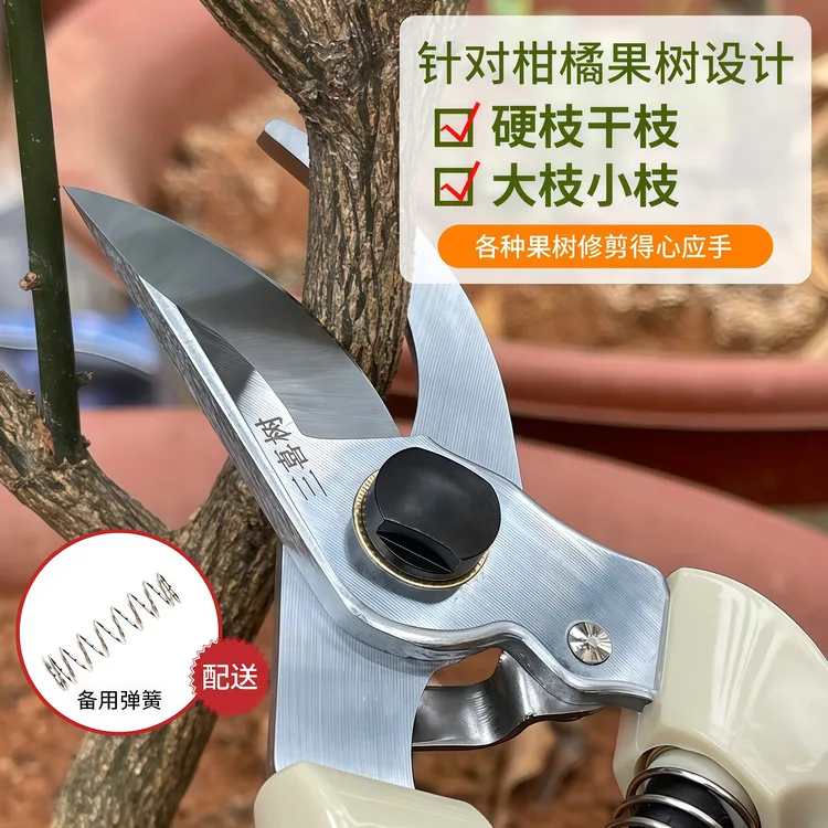 130修枝剪三喜树果树园林园艺省力便捷柑橘花卉绿植工具商品图