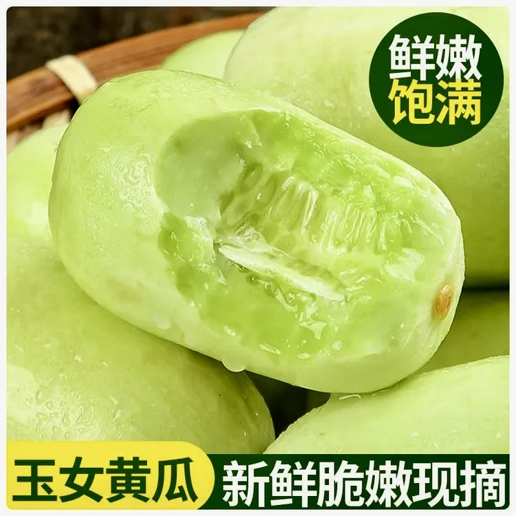 山东寿光现摘现发玉女小黄瓜拇指黄瓜产地直发清甜爽脆商品图