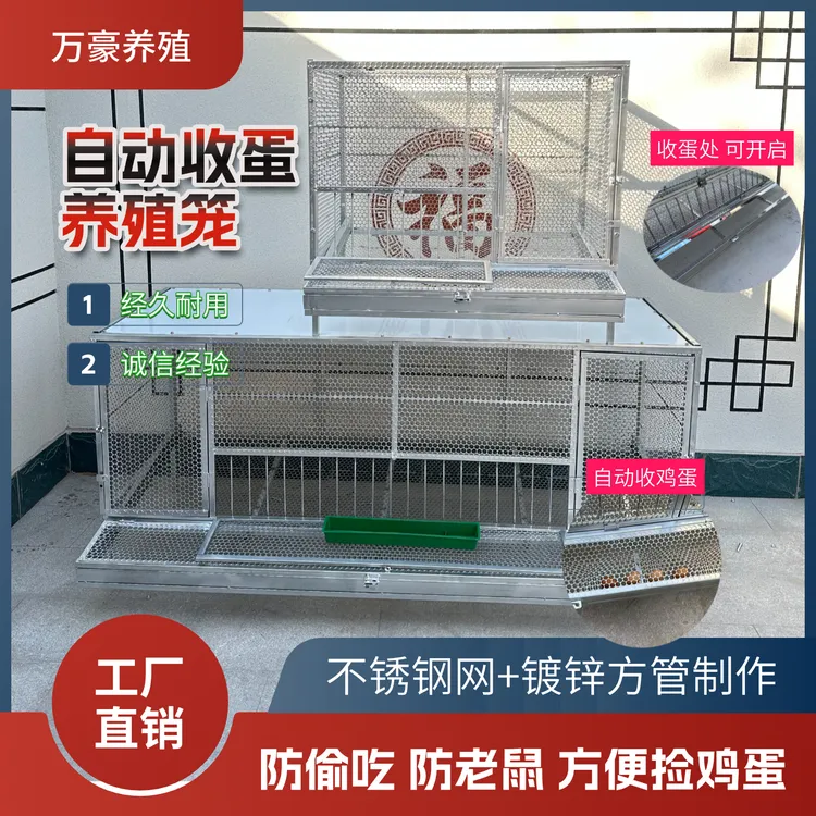 自动收蛋鸡笼户外防鼠防偷吃不锈钢网片镀锌方管制作加大空间