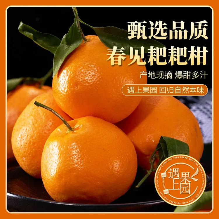 遇上果园【A级果】春见耙耙柑自然熟爆甜皮薄多汁新鲜水果坏果包赔