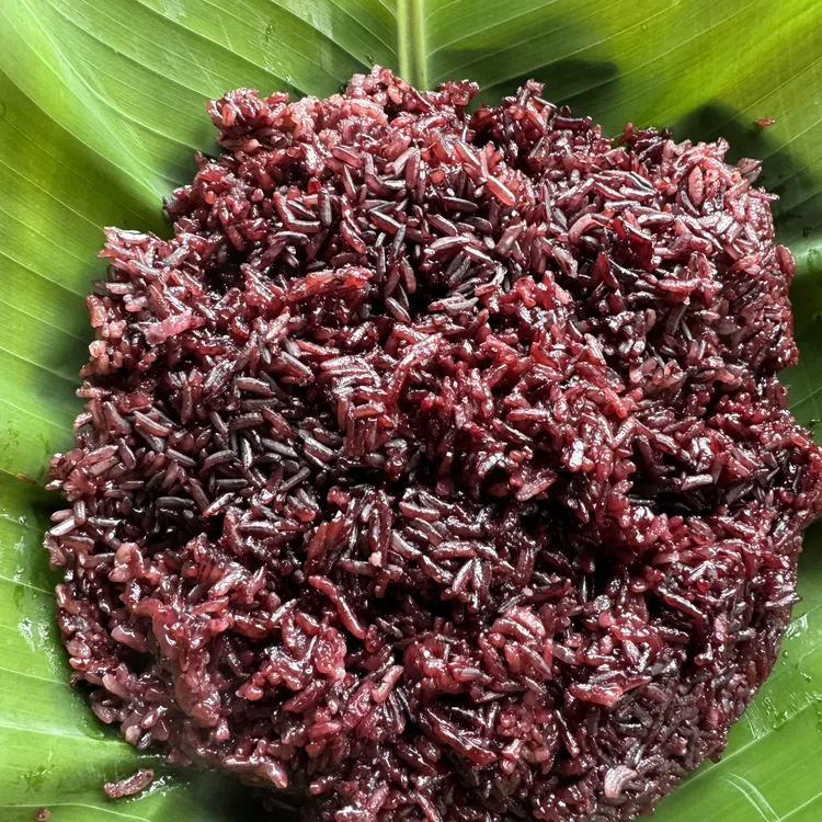 云南老品种紫糯米