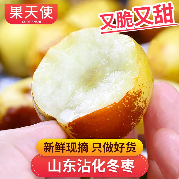 【果天使】山东沾化冬枣2-4.5斤又脆又甜汁水丰富新鲜应季水果鲜枣