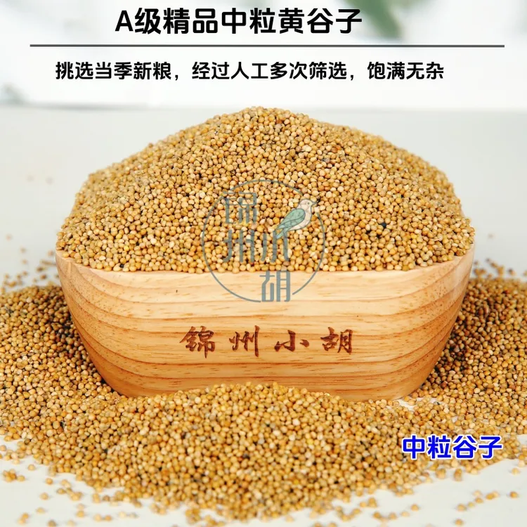 【2025】年新到中粒谷子鹦鹉玉鸟丝雀谷子包邮黄谷子