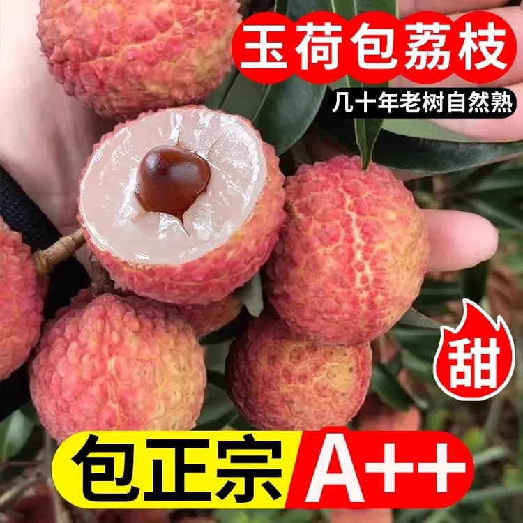 [京东冷链]现摘现发福建双肩玉荷包荔枝新鲜老树6斤装当时令整箱