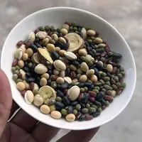 豆豆饮/救生汤 搭配版独立包装(1袋10包)