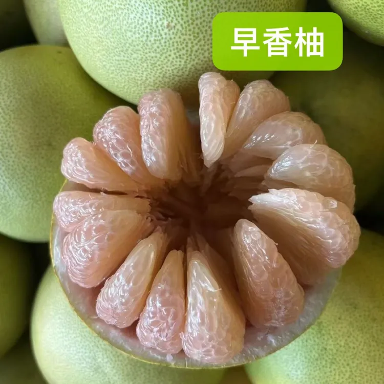湖南怀化安江早香柚（橙红王）产地直发