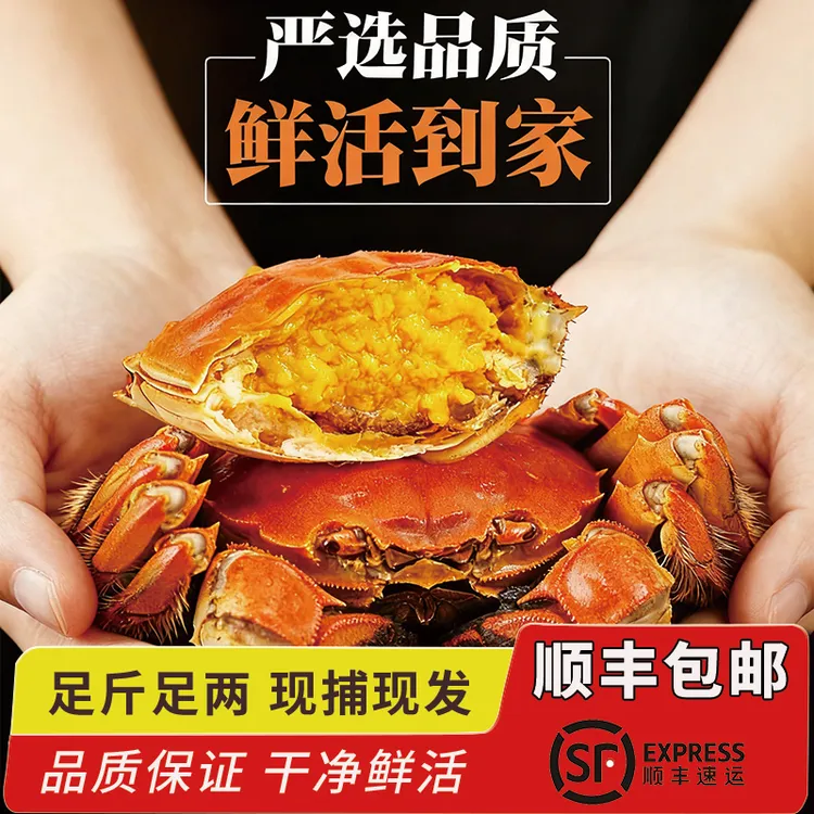 【活蟹】鲜活大闸蟹公蟹（3.7-4.0两）母蟹（2.7-3.0两）10只