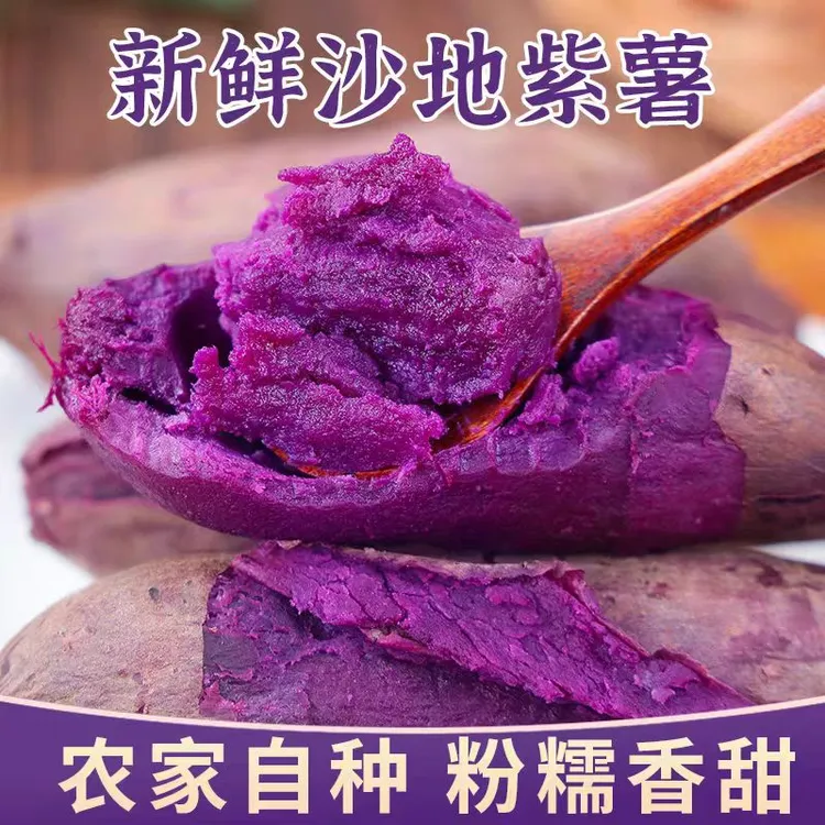 新鲜现挖沙地紫薯香甜粉糯健康粗粮早餐
