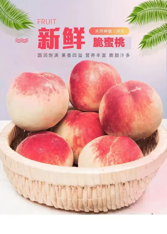 【精选】山西水蜜桃新鲜脆桃采摘应季水果 孕妇水果  现摘现发