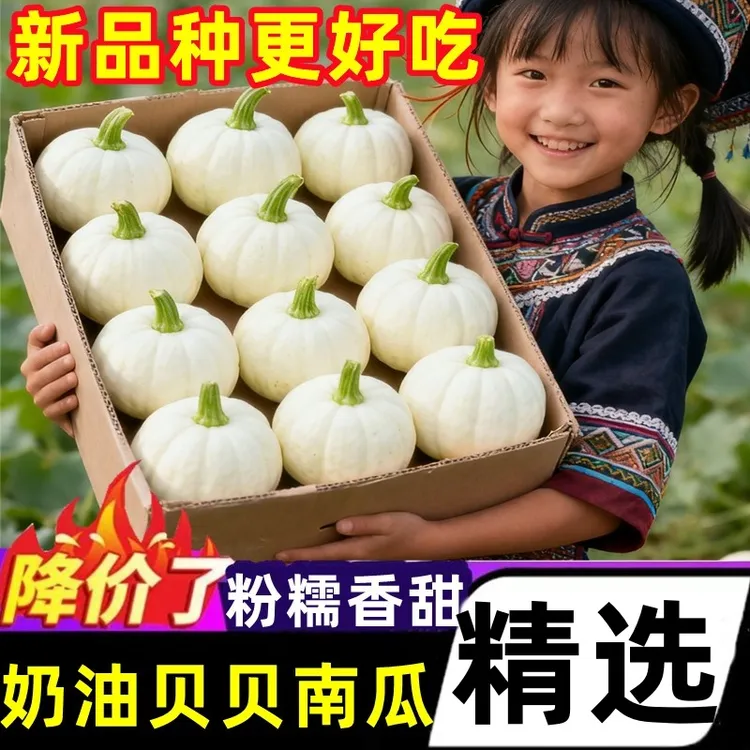 正宗广西奶油贝贝南瓜新鲜9斤白雪小南瓜软糯甜白贝贝老南瓜整箱