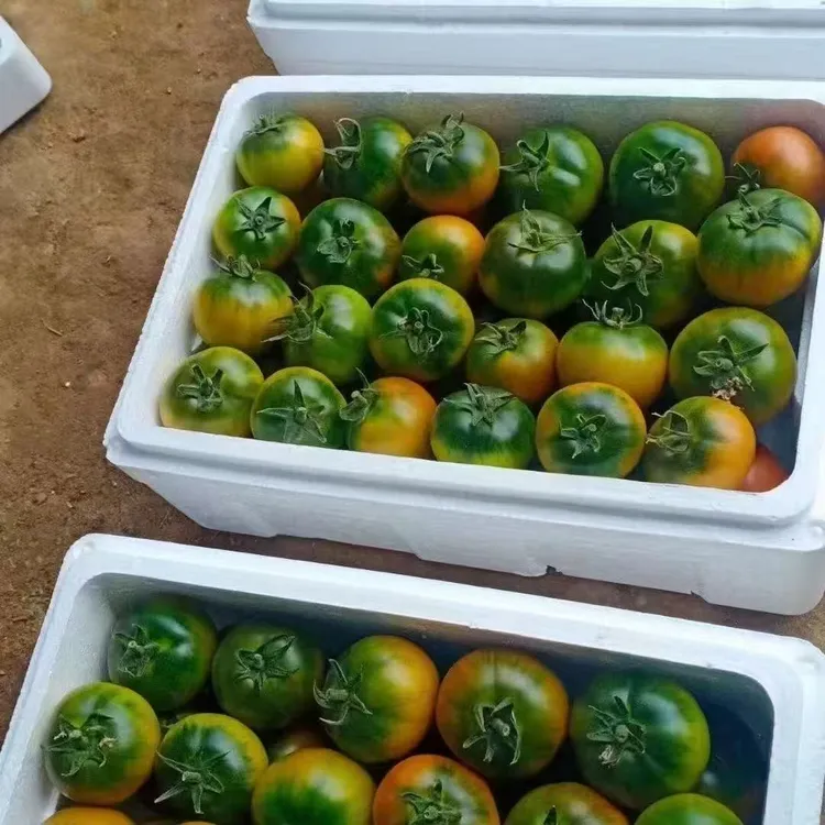 东北草莓柿子水果满籽满瓤老品种现采现发包邮酸甜可口