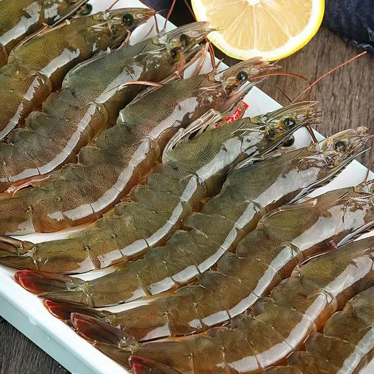 新鲜海洋盐田大虾 活虾速冻锁鲜 45只左右/斤肥美大个