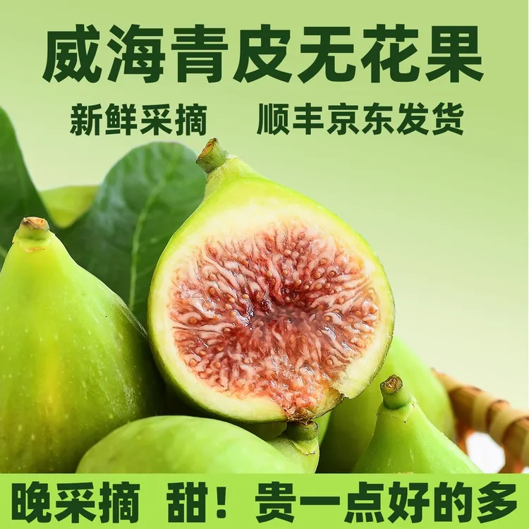 【顺丰邮】威海青皮无花果鲜果新鲜应季现摘大果无添加孕妇小孩水果