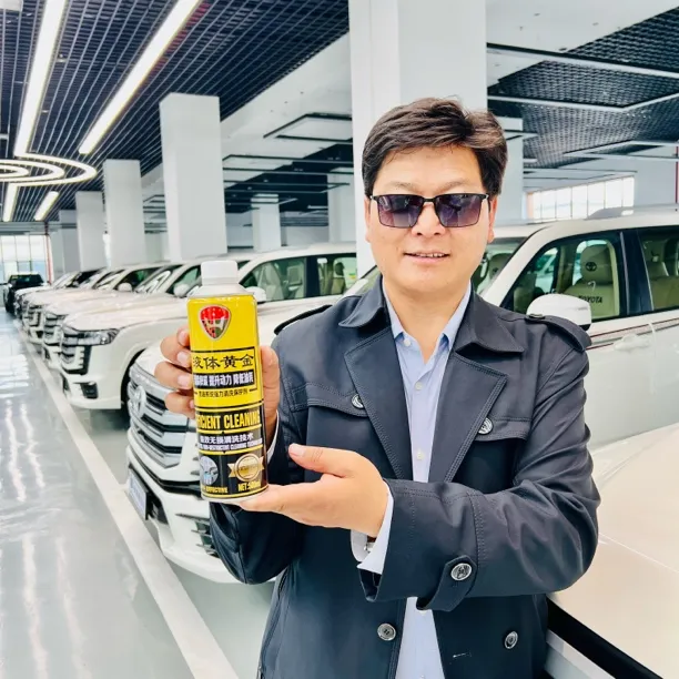 【西藏包邮3瓶】燃油系统强力清洗保护剂清洁