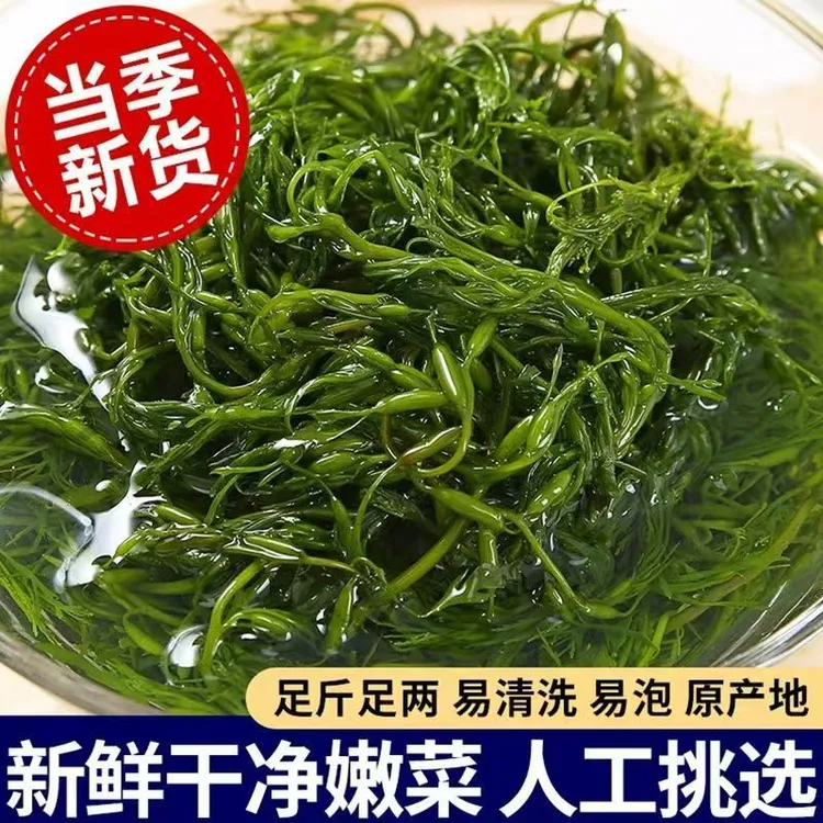 鞭炮笋火锅食材海藻菜羊栖凉拌菜海草火炮菜长寿菜龙须盐渍马尾藻商品图