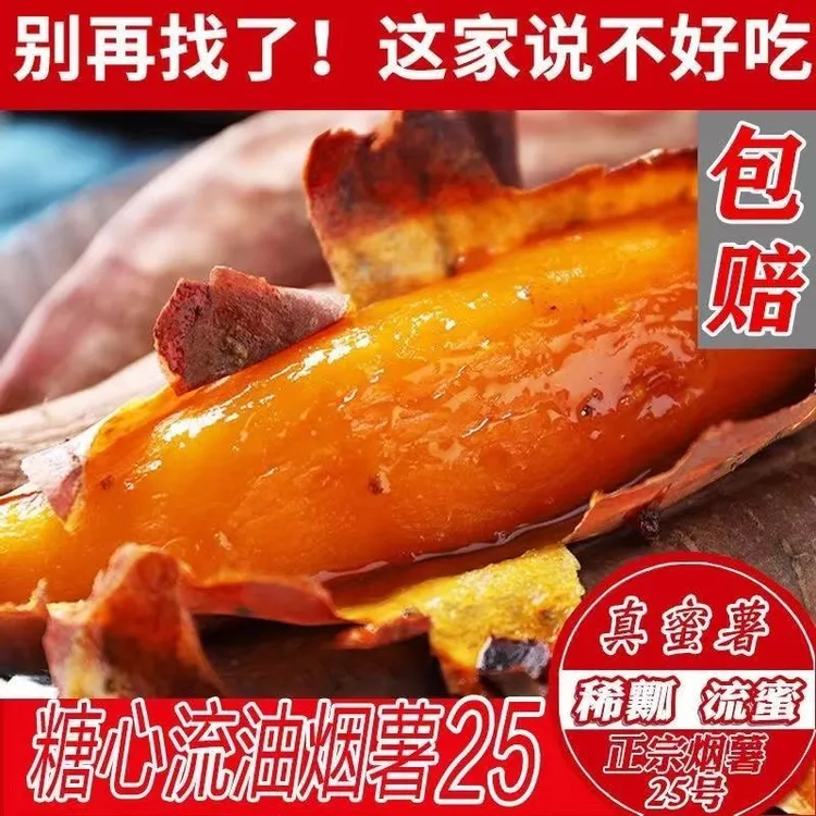 山东正宗烟薯25号蜜薯烤地瓜糖心流油软糯香甜