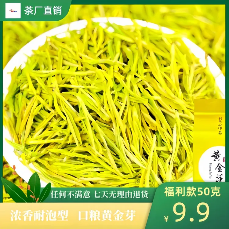 【口粮黄金芽】2025年明前新茶春茶高山绿茶浓香豆香耐泡型