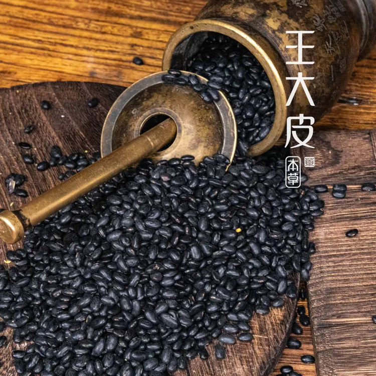 生黑扁豆 道地高品质经方经典优质正宗原产地直邮新鲜