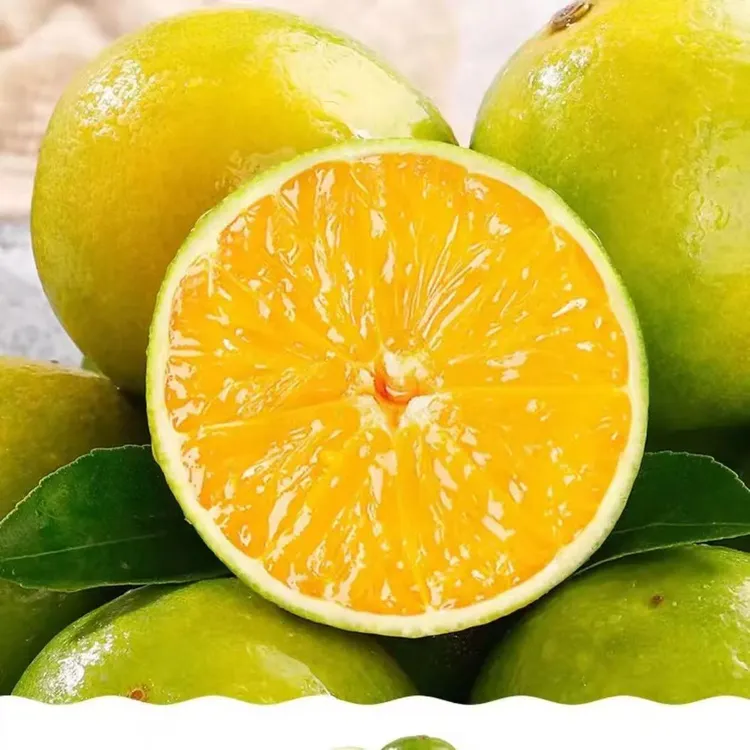 哀牢山冰糖橙新鲜水果清甜多汁皮薄冰糖橙云南哀牢山冰糖橙