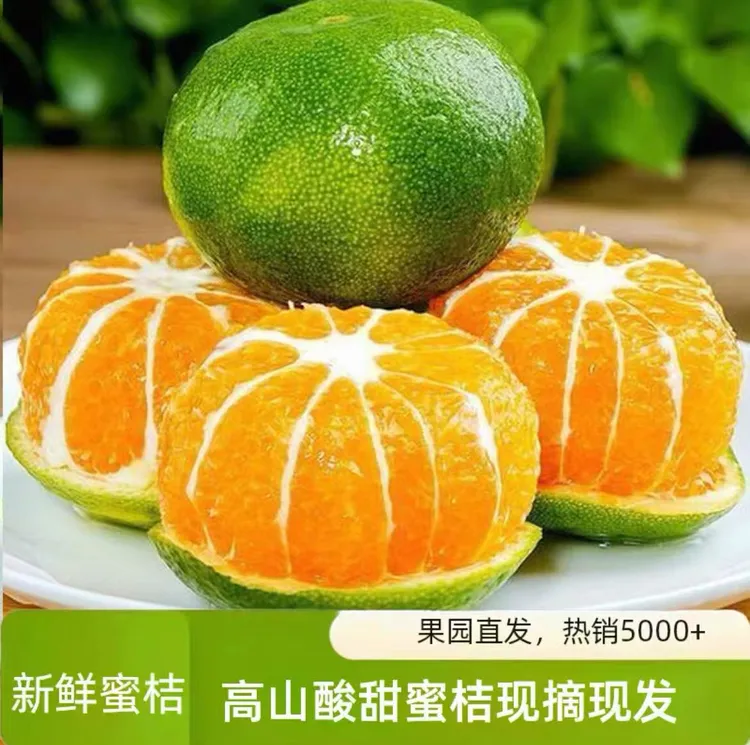 【顺丰发货】临海涌泉蜜桔青皮特早桔薄皮多汁现摘现发新鲜应季水果