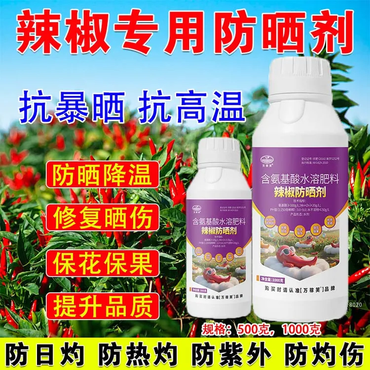 万稼笑辣椒专用防晒剂保花保果防日灼防晒伤抗高温保护膜叶面肥