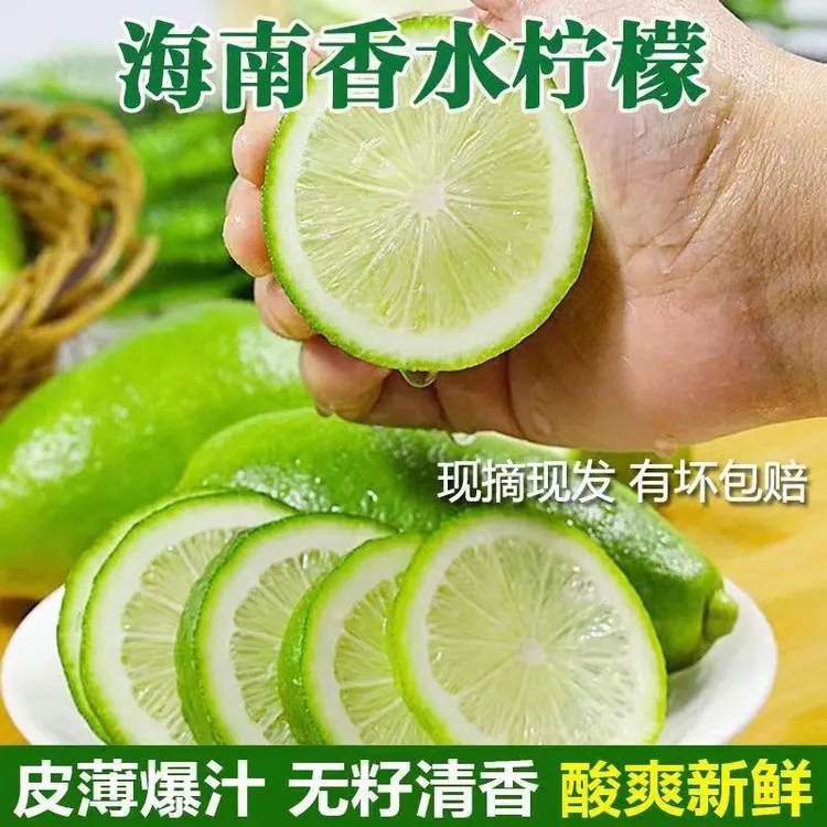 海南无籽香水柠檬新鲜当季正宗青柠檬奶茶店专用手摇暴打整箱批发