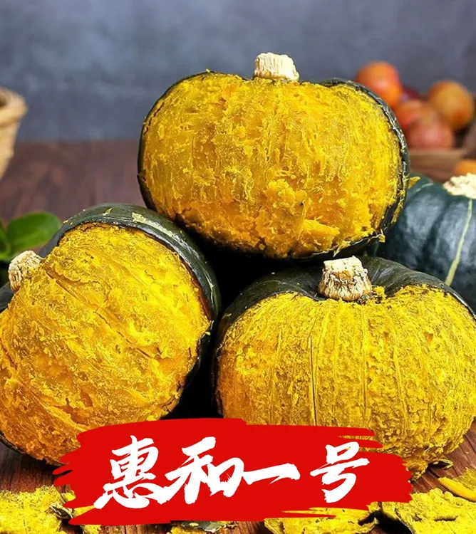 【正宗惠和一号贝贝南瓜】包粉包糯板栗味宝宝孕妈妈辅食
