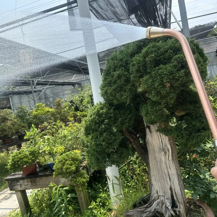 紫铜花洒1260目礼装套盒