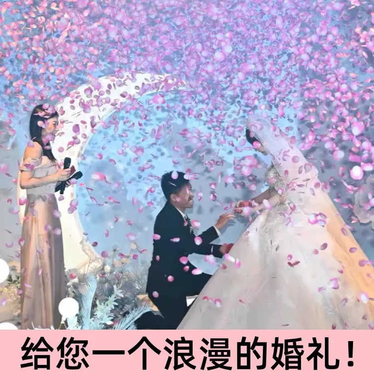 【20支】整箱开业小礼炮礼炮直播开工花瓣型批发婚礼婚庆用品礼花筒