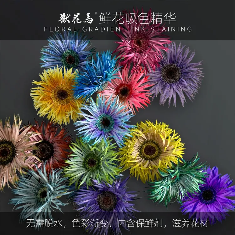 兽花马【鲜花吸色精华】 鲜花创意吸色剂染料/水墨染/时光染/经典染商品图