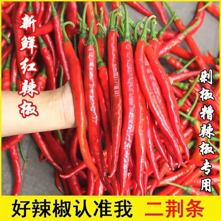 红辣椒新鲜红线椒二荆条长线椒尖椒现摘红辣新鲜蔬菜辣椒鲜辣椒