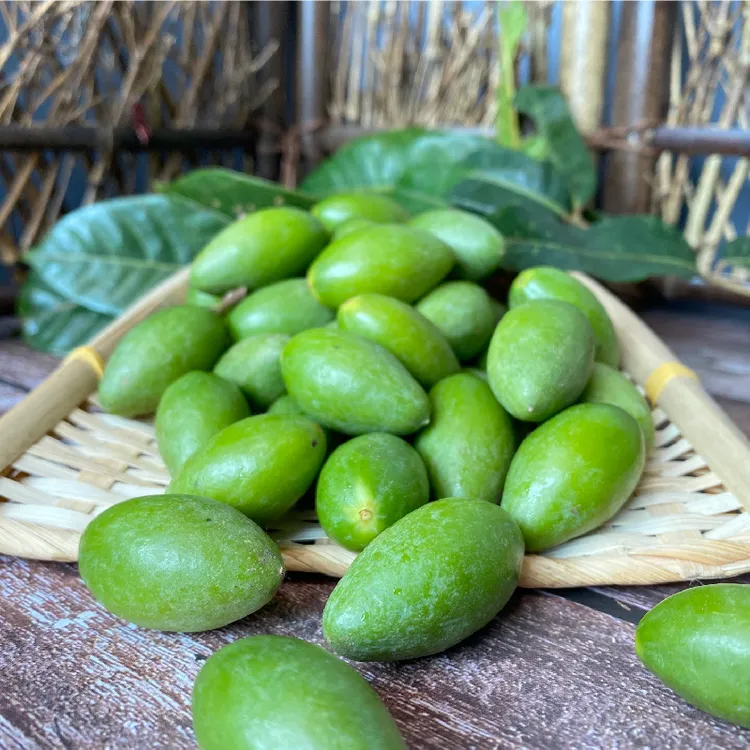 新鲜现摘青橄榄原味二号橄榄果檀香橄榄福州闽侯闽清橄榄福建特产