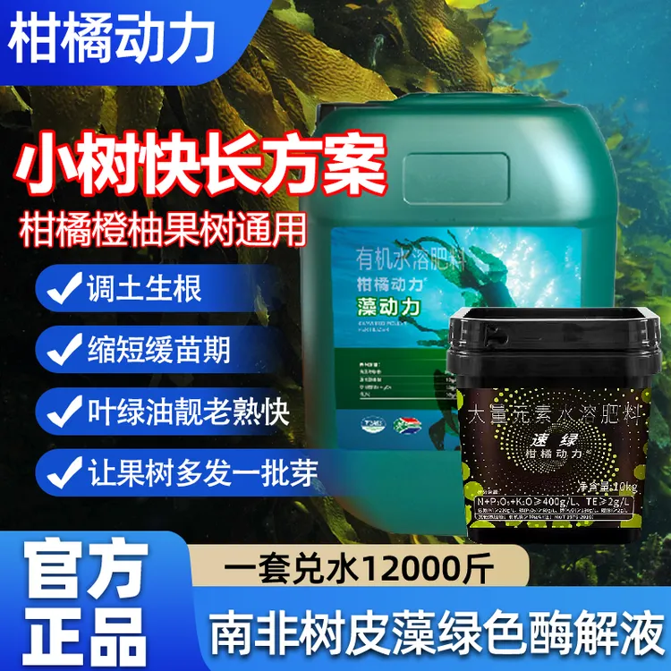 柑橘动力小树快长方案促进营养吸收保持叶片青绿快速发芽扩大冠幅