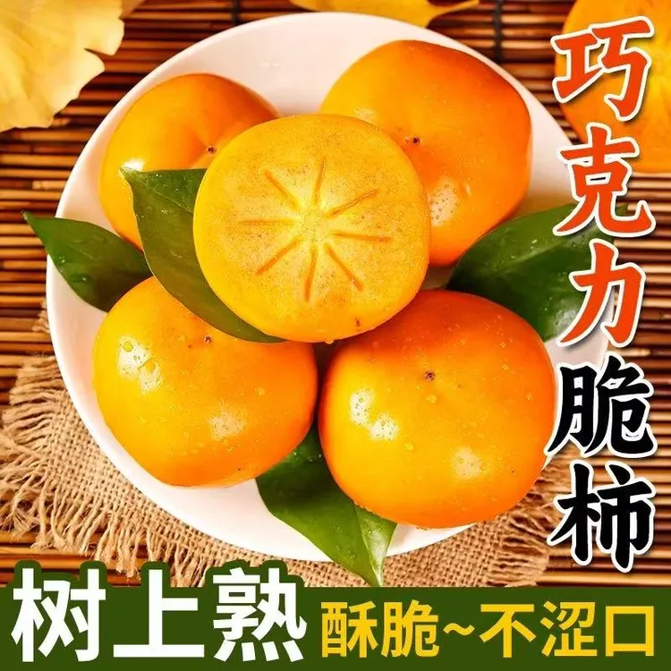 ds巧克力脆柿阳丰甜柿新鲜水果脆柿子冰糖心脆柿新鲜整箱包邮