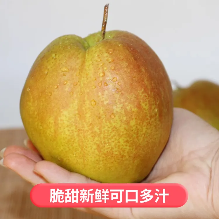 【陕西翡翠梨】爆汁产地直发新鲜时令水果红心香梨脆甜多汁批发