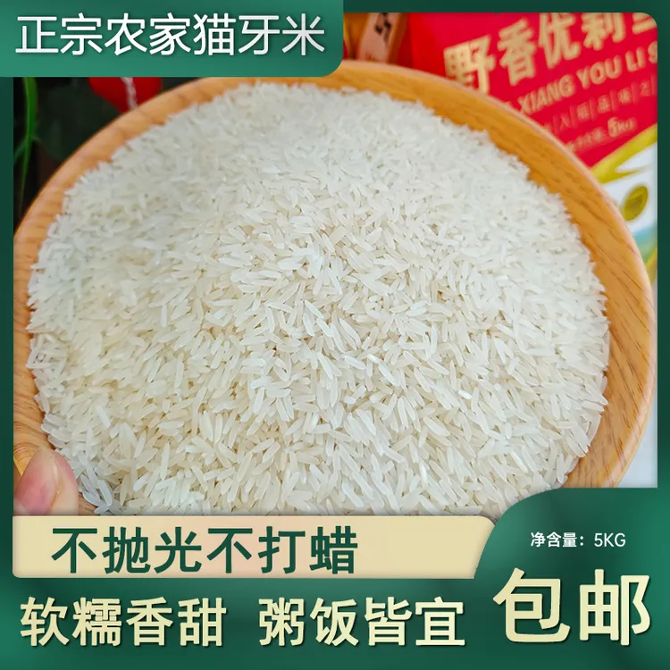 2025当季新米广西猫牙农家大米5kg长粒清香米香私米营养颗粒分明