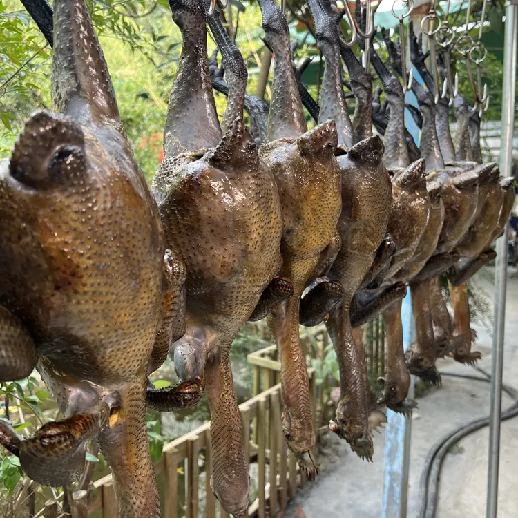新鲜现杀-贵州散养6-8个月跑山乌皮大公鸡 包冰率不含冰商品图
