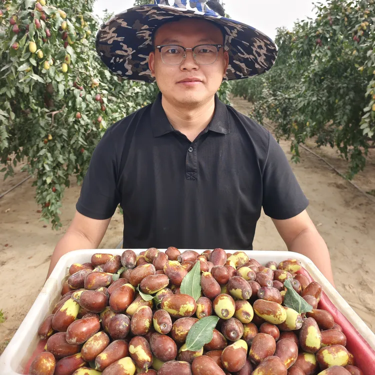 新疆和田大枣头茬鲜枣(适合蒸煮吃）5斤空运直发包邮产地直发