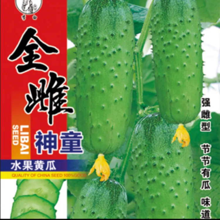 李白全雌神童水果黄瓜种子