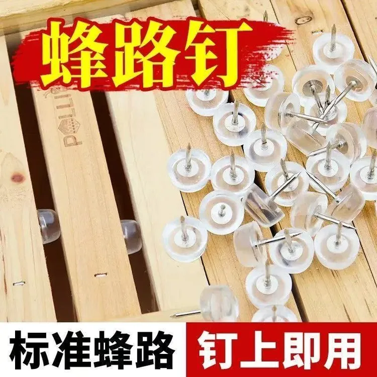 中蜂蜂路钉巢框间距固定钉中蜂巢脾间距钉蜂箱转场固定钉巢框钉