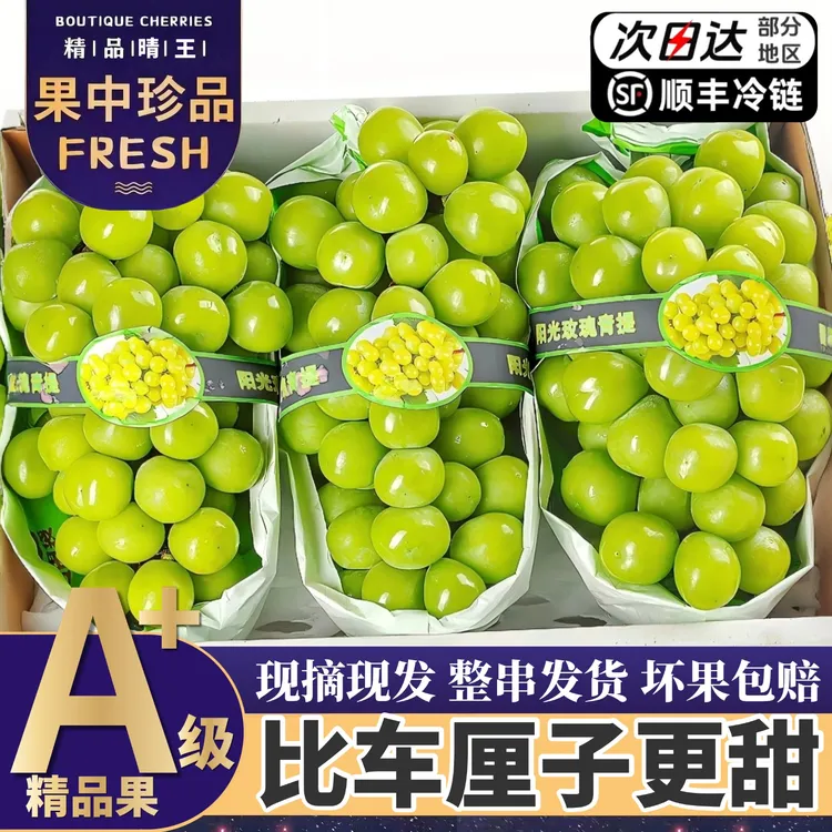 【次日达】顺丰发货精品阳光玫瑰葡萄果园现摘3/5斤新鲜脆甜爽口Q