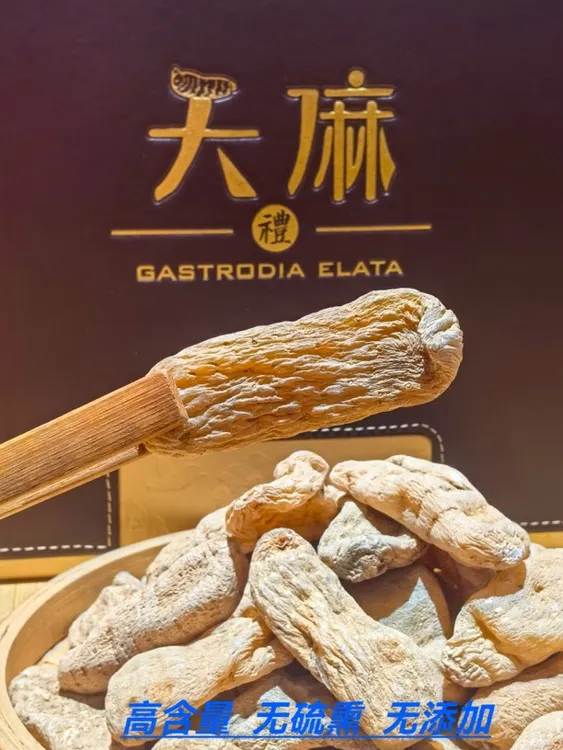 云南高山小草坝天麻30头