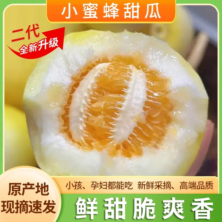 新鲜头茬山东头茬小蜜蜂甜瓜早甜脆新鲜水果香甜美味自然成熟