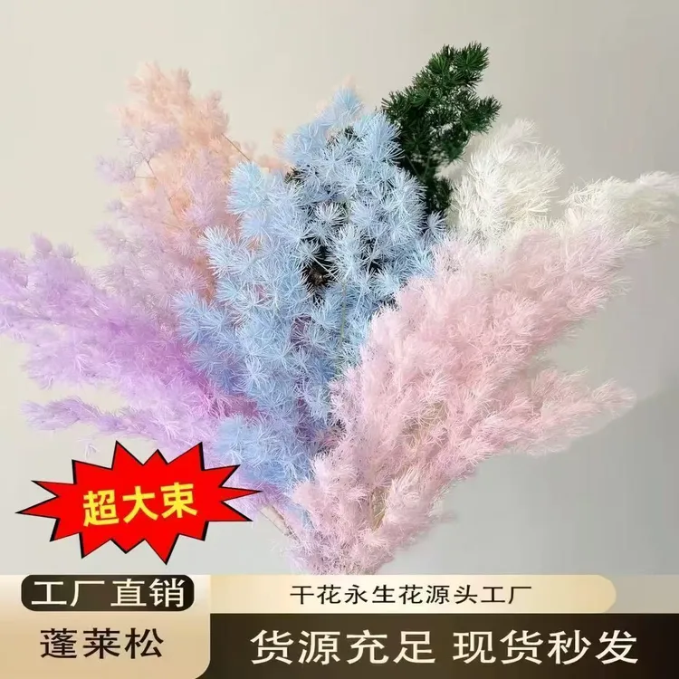 【老师专属】永生蓬莱松手工DIY花材 居家软装拍照装饰不掉针花材