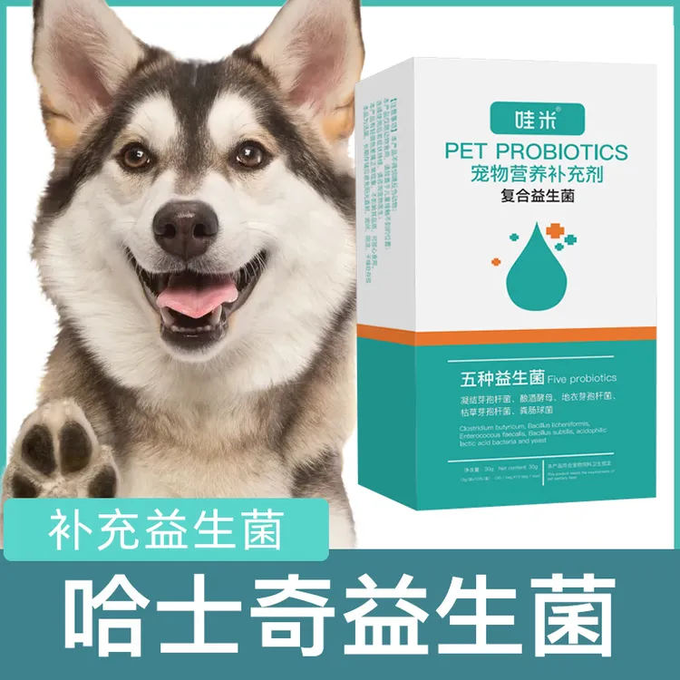 哈士奇专用益生菌粉宠物犬用狗狗小幼犬成犬肠胃宝肠道消化宝