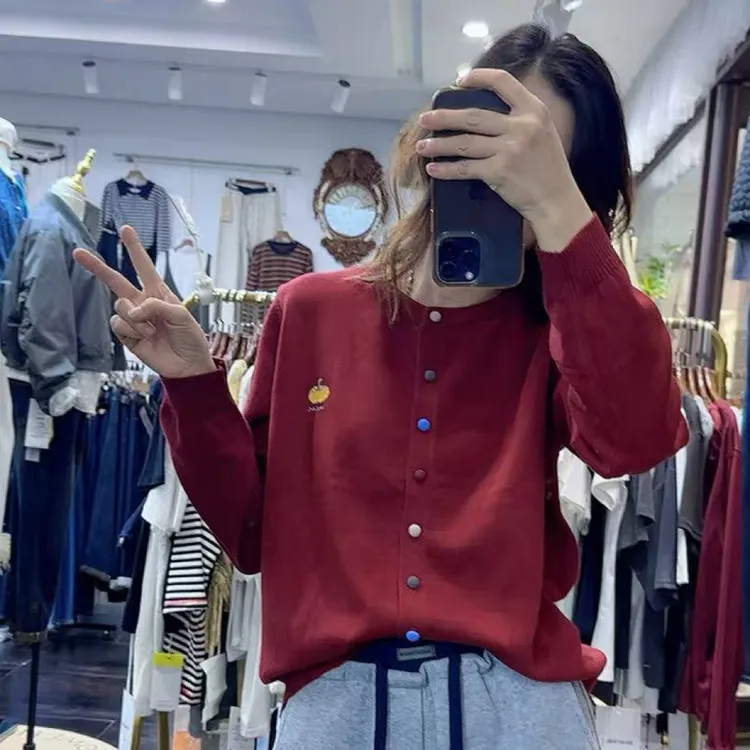 秋冬新圆领刺绣南瓜彩扣设计感高档百搭显瘦长袖针织衫毛衣女打底