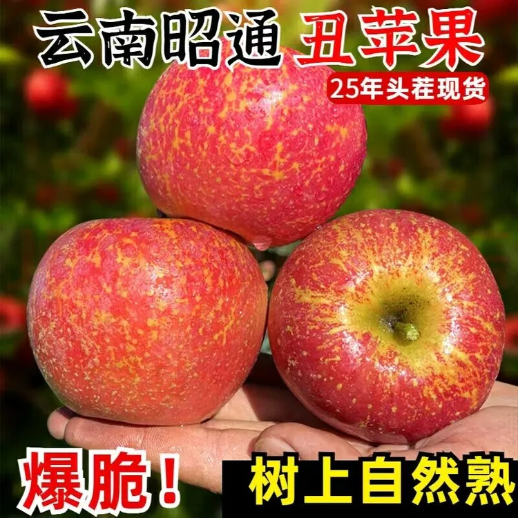 云南昭通冰糖心丑苹果新鲜当季水果纯甜无酸脆甜多汁